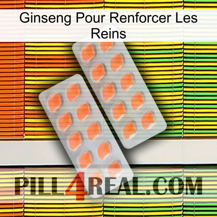 Ginseng For Reinforcing Kidney 27